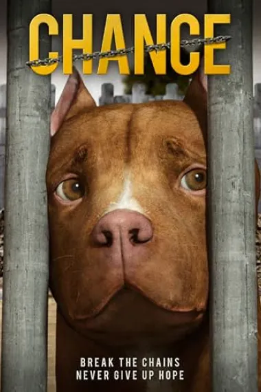 Chance (2019) 海报