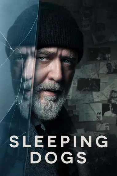 沉睡烈犬 Sleeping Dogs (2024) 海报