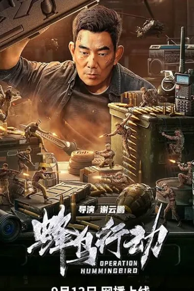 蜂鸟行动 Feng niao xing dong (2026) 海报