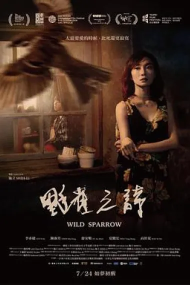 野雀之诗 Wild Sparrow (2019) 海报