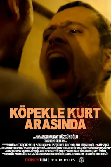Köpekle kurt arasinda (2025) 海报