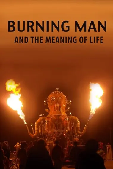 火人与生命的意义 Burning Man and the Meaning of Life (2013) 海报