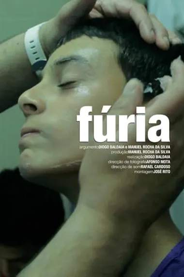 Fúria (2013) 海报