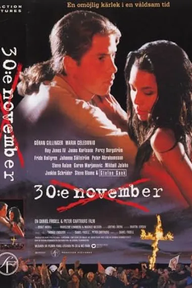 30:e november (1995) 海报
