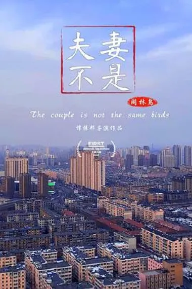 夫妻不是同林鸟 Fu Qi Bu Shi Tong Lin Niao (2019) 海报