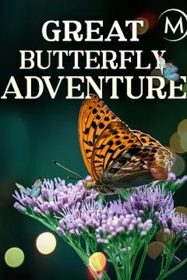 蝴蝶大冒险 The Great Butterfly Adventure: Africa to Britain with the Painted Lady (2016) 海报