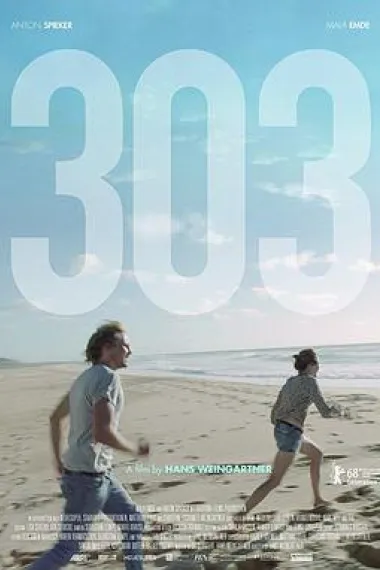303 (2018) 海报