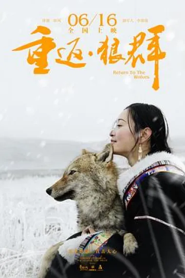 重返·狼群 Return To The Wolves (2017) 海报