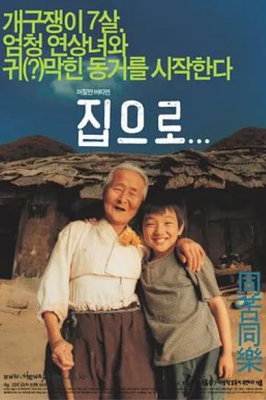 爱·回家 The Way Home (2002) 海报