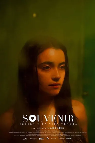 纪念品 Souvenir (2019) 海报