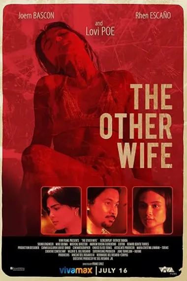 她不是我的妻子 The Other Wife (2021) 海报