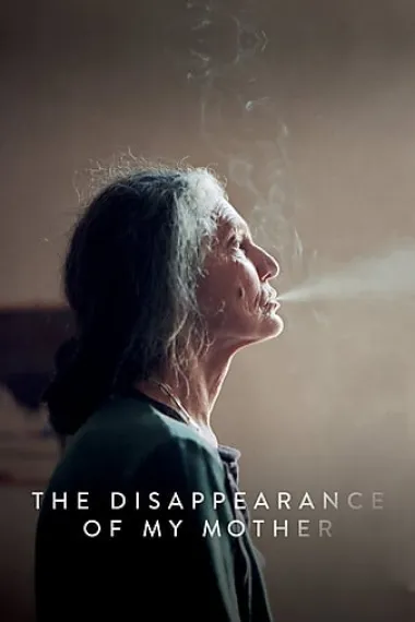 我母亲的消失 The Disappearance of My Mother (2019) 海报
