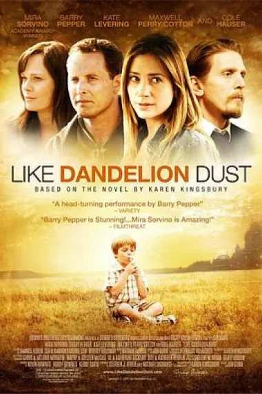 蒲公英的灰尘 (2009) 海报