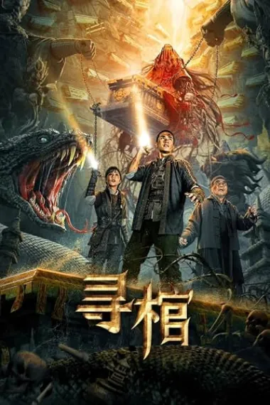 寻棺 Search for Coffin (2025) 海报
