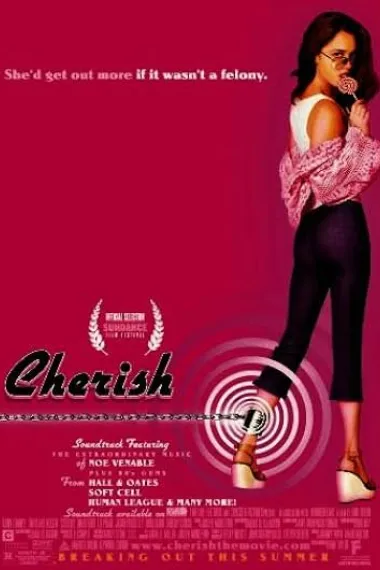 扣住有情人 Cherish (2002) 海报