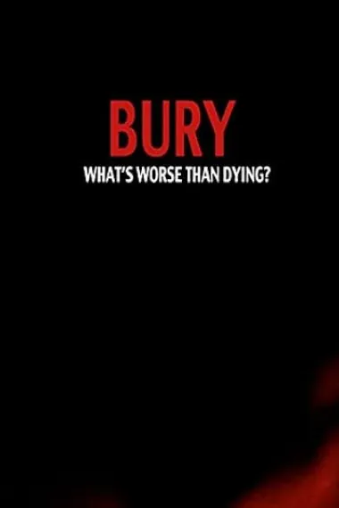 bury (2014) 海报