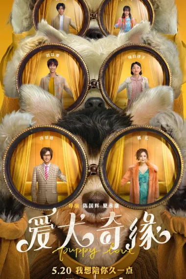 爱犬奇缘 Ai quan qi yuan (2023) 海报