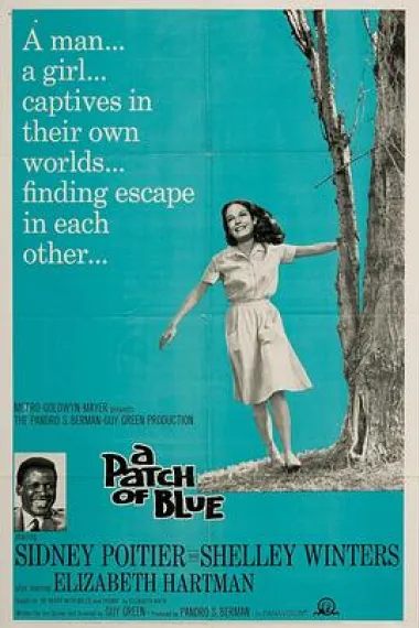 再生缘 A Patch of Blue (1965) 海报