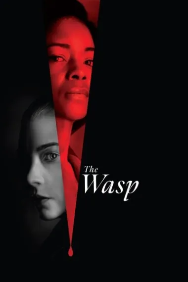 黄蜂蜇 The Wasp (2024) 海报