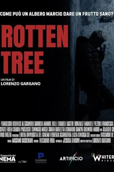 Rotten Tree (2026) 海报