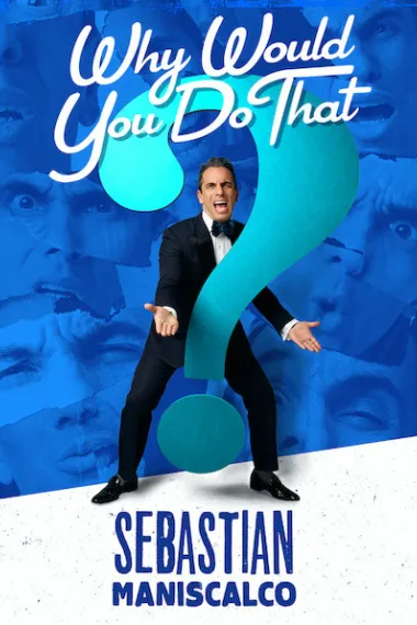 Sebastian Maniscalco: Why Would You Do That? (2016) 海报
