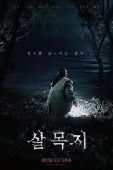 杀木地 살목지 (2026) 海报