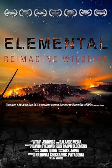 美国大火 Elemental: Reimagine Wildfire (2022) 海报
