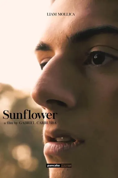 向日葵 Sunflower (2023) 海报