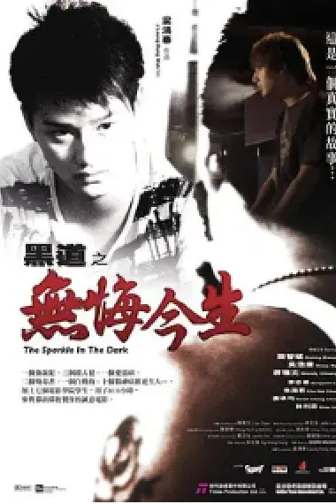 黑道之无悔今生 The Sparkle in the Dark (2008) 海报