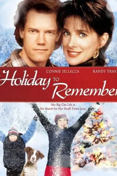 破镜重圆 A Holiday to Remember (1995) 海报