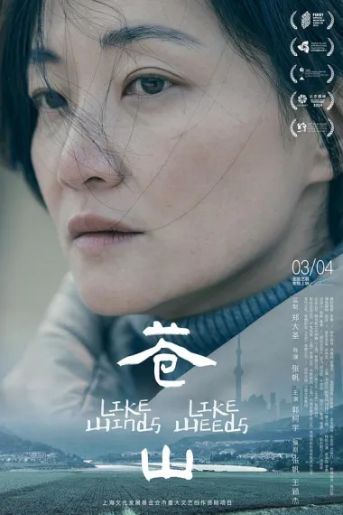 苍山 Cang Shan (2023) 海报