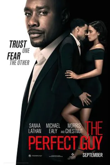 完美家伙 The Perfect Guy (2015) 海报