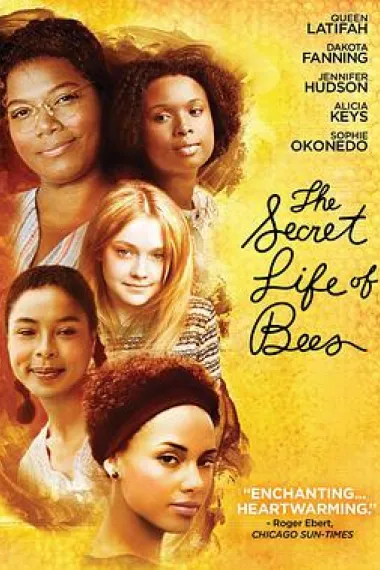 蜜蜂的秘密生活 The Secret Life of Bees (2008) 海报