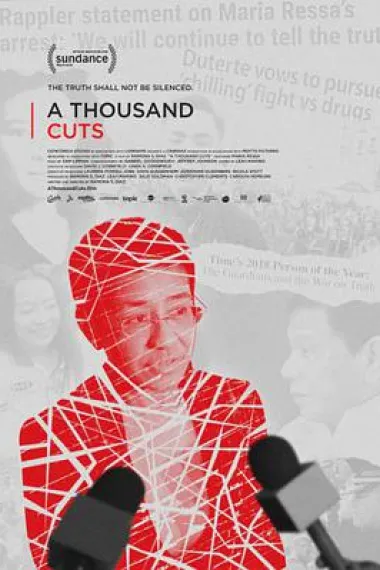 千审万查 A Thousand Cuts (2020) 海报