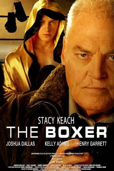 拳手 The Boxer (2009) 海报