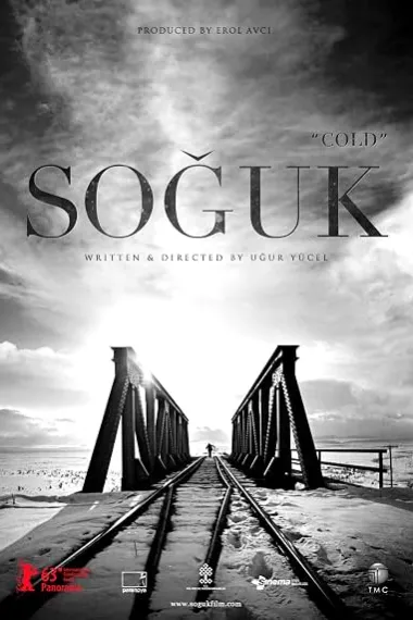 冰冻 Soguk (2013) 海报