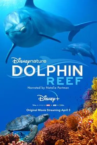 海豚礁 Dolphin Reef (2020) 海报