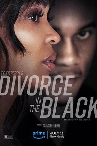 离婚怨曲 Divorce in the Black (2024) 海报