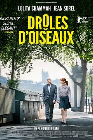 怪趣群鸟 Drôles d'oiseaux (2017) 海报