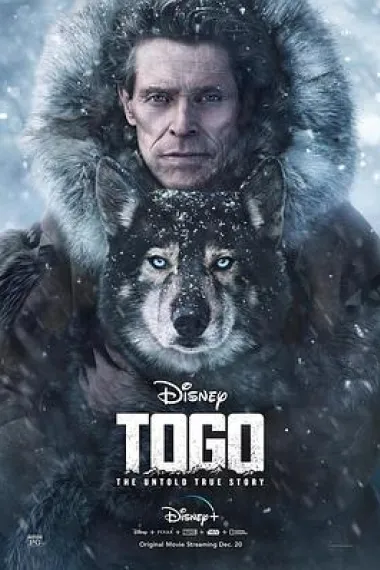 多哥 Togo (2019) 海报