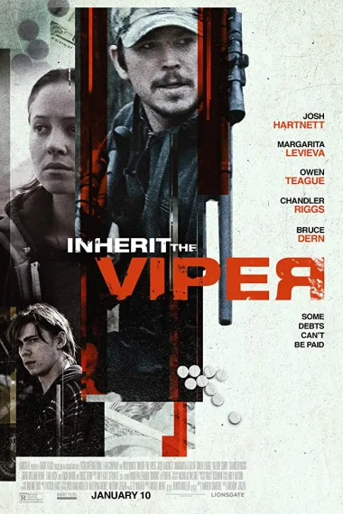 继任蝰蛇 Inherit the Viper (2019) 海报