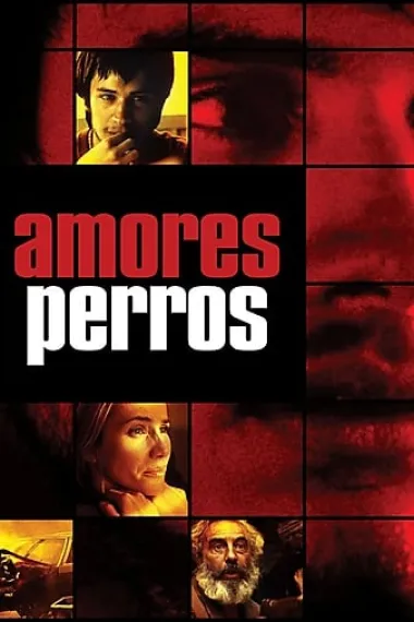 爱情是狗娘 Amores perros (2000) 海报