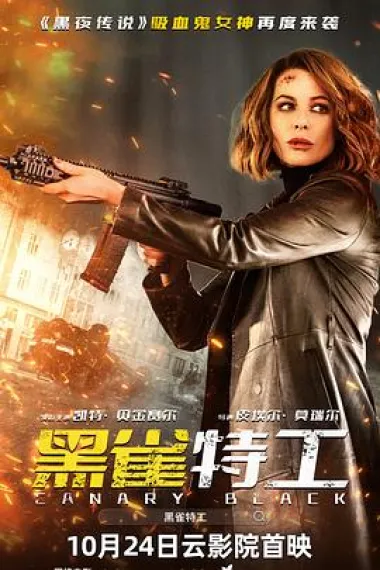 黑雀特工 (2024) 海报