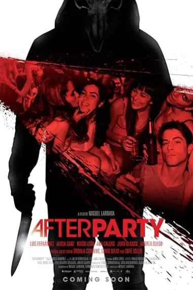 余兴派对 Afterparty (2013) 海报