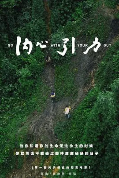 内心引力 Go with Your Gut (2016) 海报