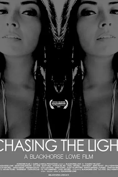 追逐光明 Chasing the Light (2016) 海报