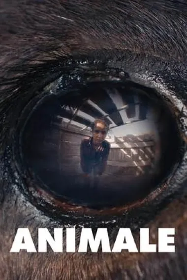 兽性 Animale (2024) 海报