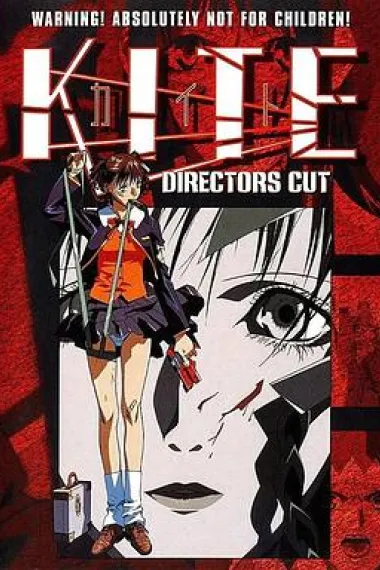 风筝 A kaito (1998) 海报