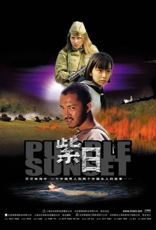 【4K】60帧/紫日 (2001)推荐/豆瓣8.4分，最好的国产战争电影之一 海报