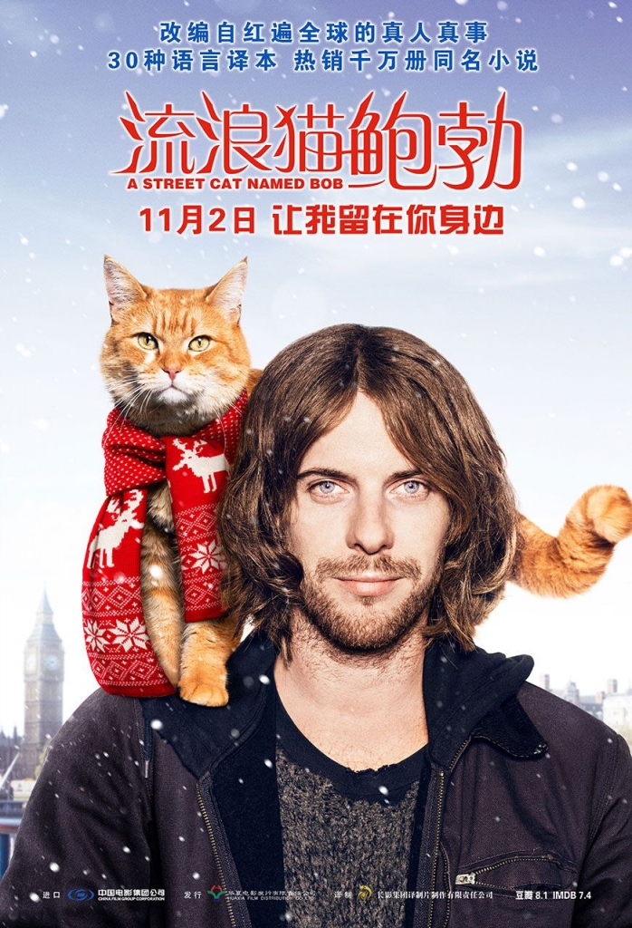 【60帧】4K流浪猫鲍勃 A Street Cat Named Bob (2016) 海报